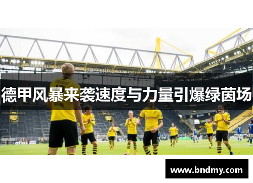 德甲风暴来袭速度与力量引爆绿茵场 德甲风暴来袭速度与力量引爆绿茵场