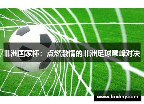 非洲国家杯:点燃激情的非洲足球巅峰对决 非洲国家杯:点燃激情的非洲足球巅峰对决