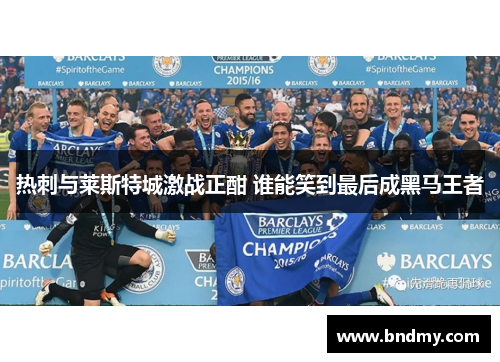 热刺与莱斯特城激战正酣 谁能笑到最后成黑马王者 热刺与莱斯特城激战正酣 谁能笑到最后成黑马王者